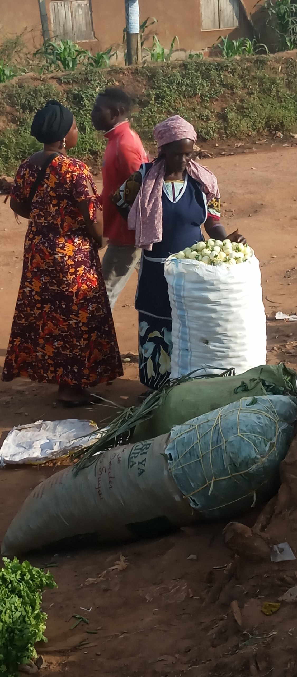 Solar Panels Installation